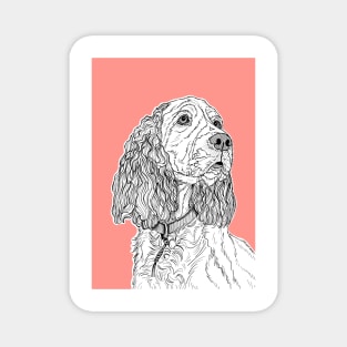 Spaniel Dog Portrait ( coral background ) Magnet
