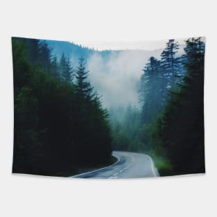 Foggy Mountain Road Tapestry