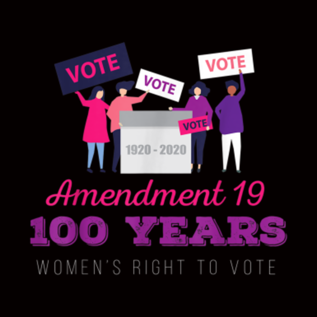 100 Years Womens Right To Vote Centennial President 2020 Pillow Teepublic 