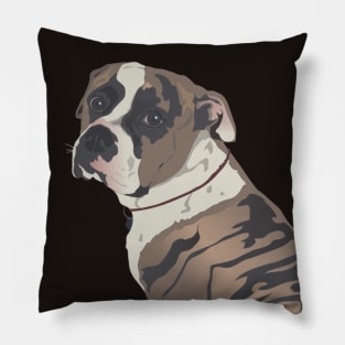 The Boxer Pillow