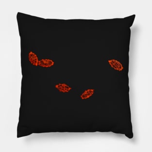 Aleuria aurantia (orange peel fungus) spores under the microscope Pillow