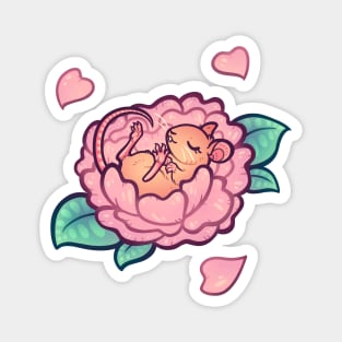 Flower Nap Magnet