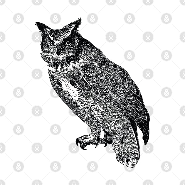 Night Owl Design by penandinkdesign@hotmail.com