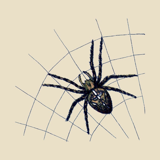 Scary spider on web by RedThorThreads