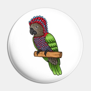 Hawk headed parrot bird cartoon illustration Pin