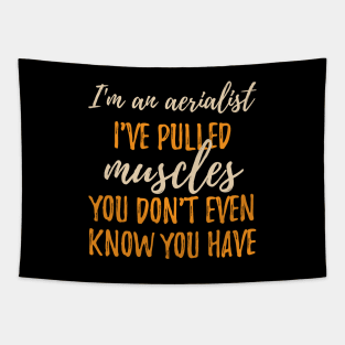 I'm An Aerialist - I've Pulled Muscles You Don't Even Know You Have. Tapestry