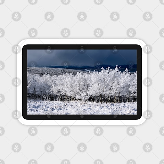 Winter Scene  with the Mountains in the background. Magnet by CanadianWild418