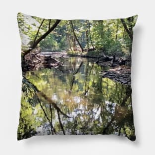 Creek Scenery Landscape Photograph of Beautiful Indian Creek Pillow