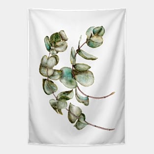 Dry eucalyptus Tapestry