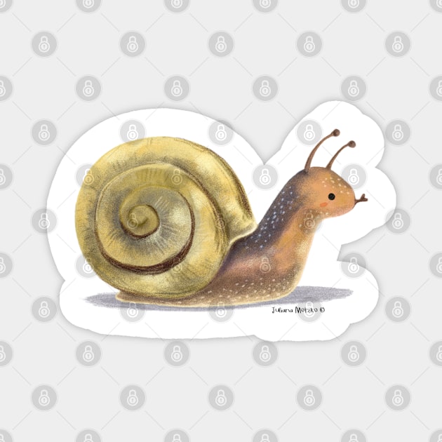 Brown Lipped Snail Magnet by julianamotzko