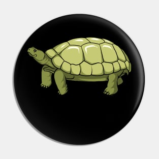 Tortoise Pin