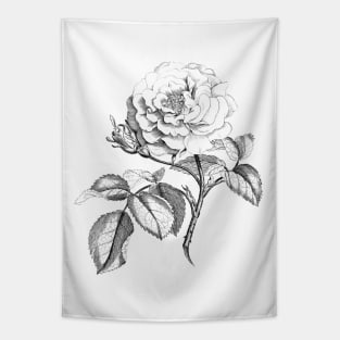 Rose Flower Black & White Illustration Tapestry