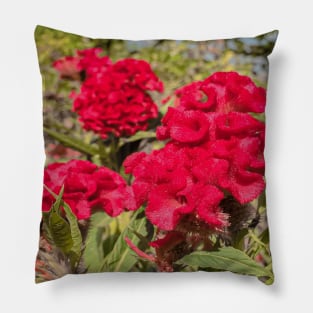 Flower 1 Pillow