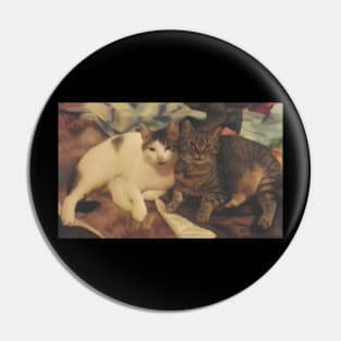 Cat Lover Gifts. Adorable Feline Bond Pin