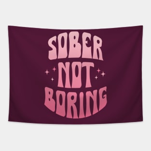 Sober Not Boring Pink Gradient Tapestry