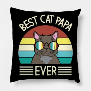 Vintage Cat Happy Father Day Best Cat Papa Ever Dad Grandpa Pillow