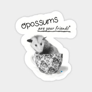 Opossums Are Your Friends Magnet