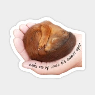 Wake me up when it's summer again sleeping squirrel Magnet