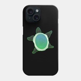 Pride Flag Space Turtle Aromantic Flag Phone Case