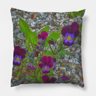 Digitally Enhanced Violets and Gravel Pillow