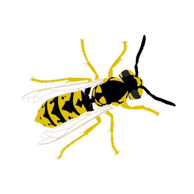 Wasp by MuskegonDesigns