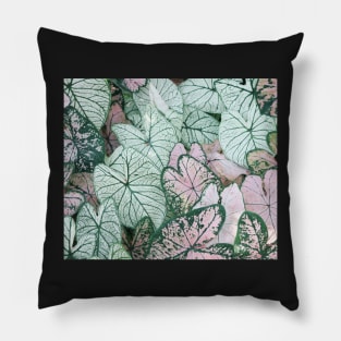 Leaf pattern Pillow