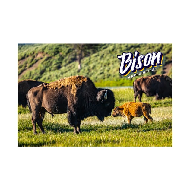 Bison at Yellowstone by Gestalt Imagery