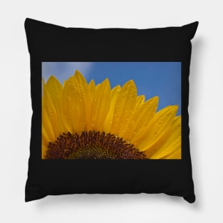 Sunny Flower Pillow