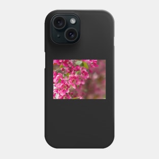 Apple blossom Phone Case