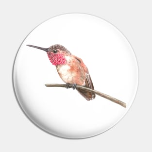 Hummingbird watercolor Pin