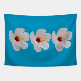 Three White Hibiscus Flowers Floral Photo Tapestry