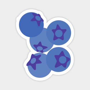 Blueberry Magnet