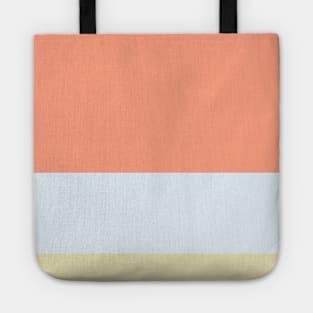 A selected customization of Bright Gray, Seafoam Blue, Vivid Tangerine and Spring Green (Crayola) stripes. Tote