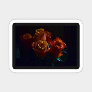 Roses Magnet