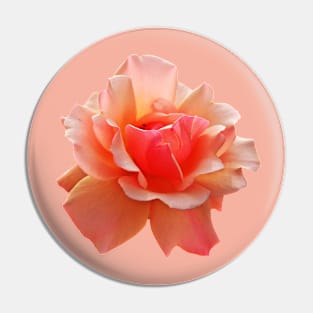 Pink Rose Blooming Pin