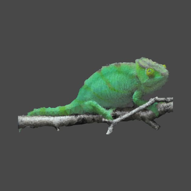 Low Poly Chameleon by TRIME