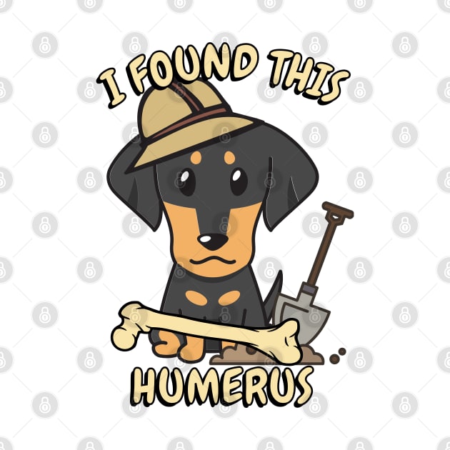 Funny dachshund is an archaeologist by Pet Station