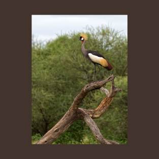 Grey Crowned Crane T-Shirt