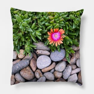 Tiny Flower Pillow