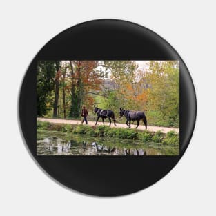 C and O Canal Mules Pin