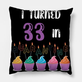 I Turned 33 In Quarantine funny idea birthday t-shirt Pillow