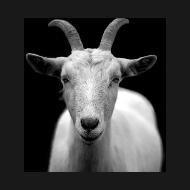 GOAT - Greatest Of All Time by Tees_N_Stuff