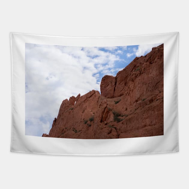 Garden of the Gods Cliff Tapestry by photosbyalexis