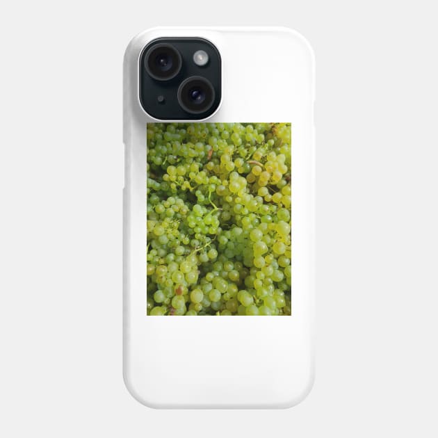 Chardonnay by Avril Thomas Phone Case by MagpieSprings