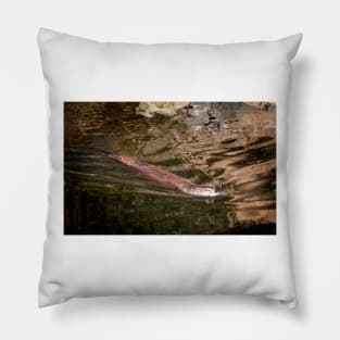 North American River Otter Pillow
