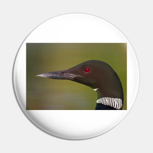 Common Loon profile Pin