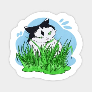 waffle the cat in green grass Magnet