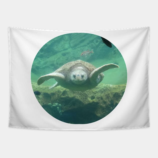 turtle underwater Tapestry by FromBerlinGift