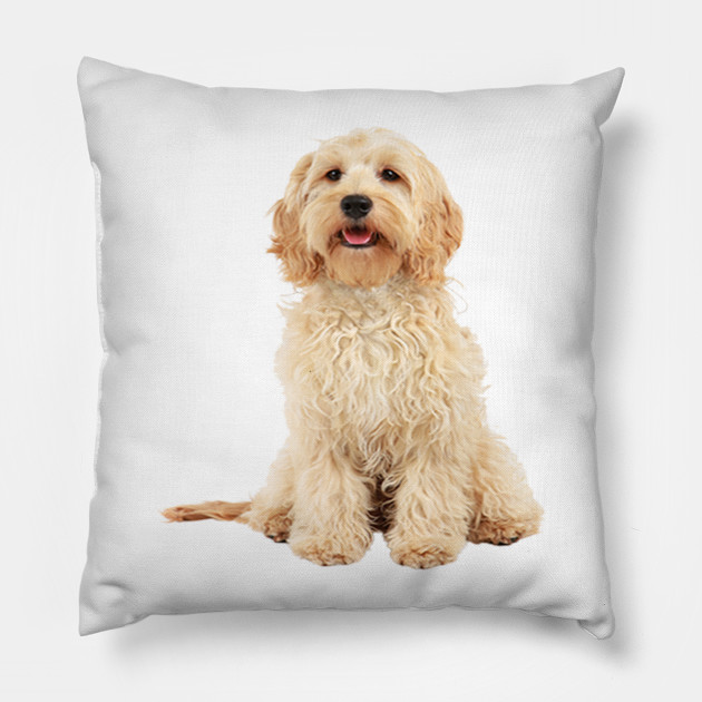 cockapoo cushion