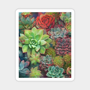 Most Succulent! Magnet